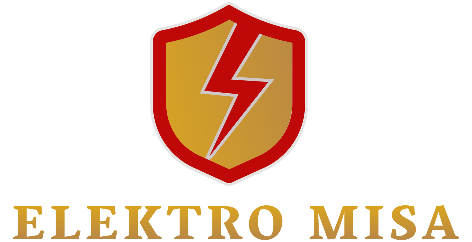 ELEKTRO MISA